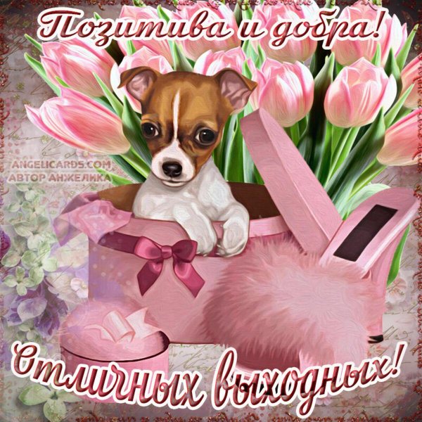 Хороших выходных женщине